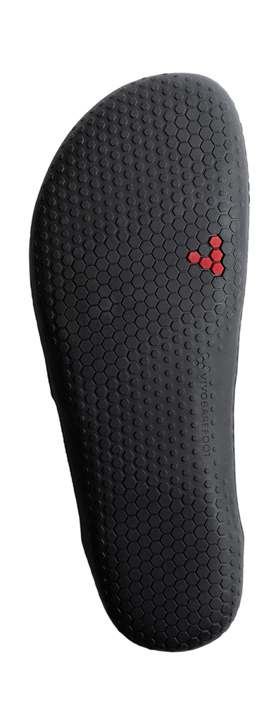 Ra III Lux Mens